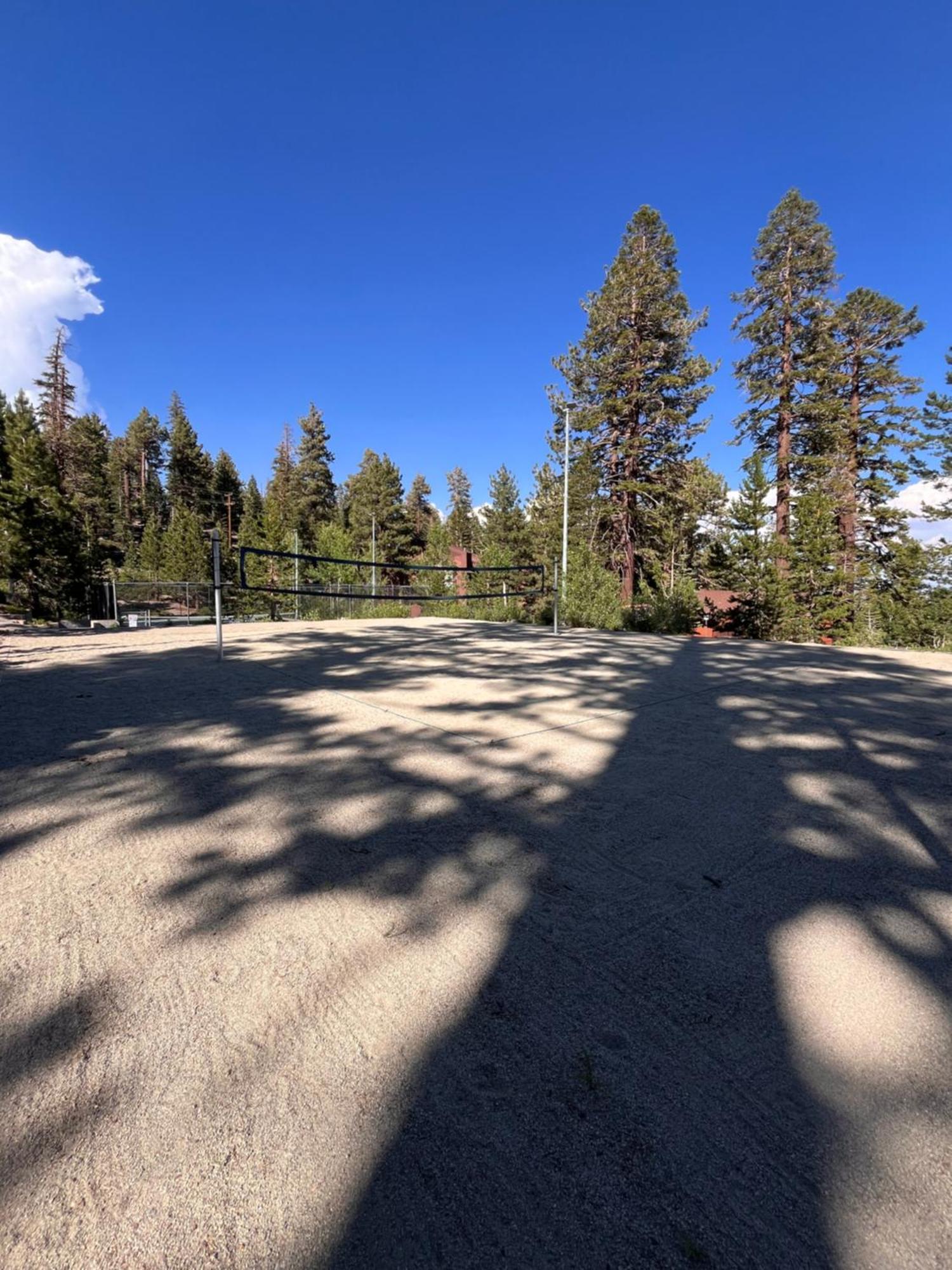 Tastefully Remodeled At Mammoth & Racquet Club, Hot Tub, Garage, 10 Min Walk To Lifts Apartment
