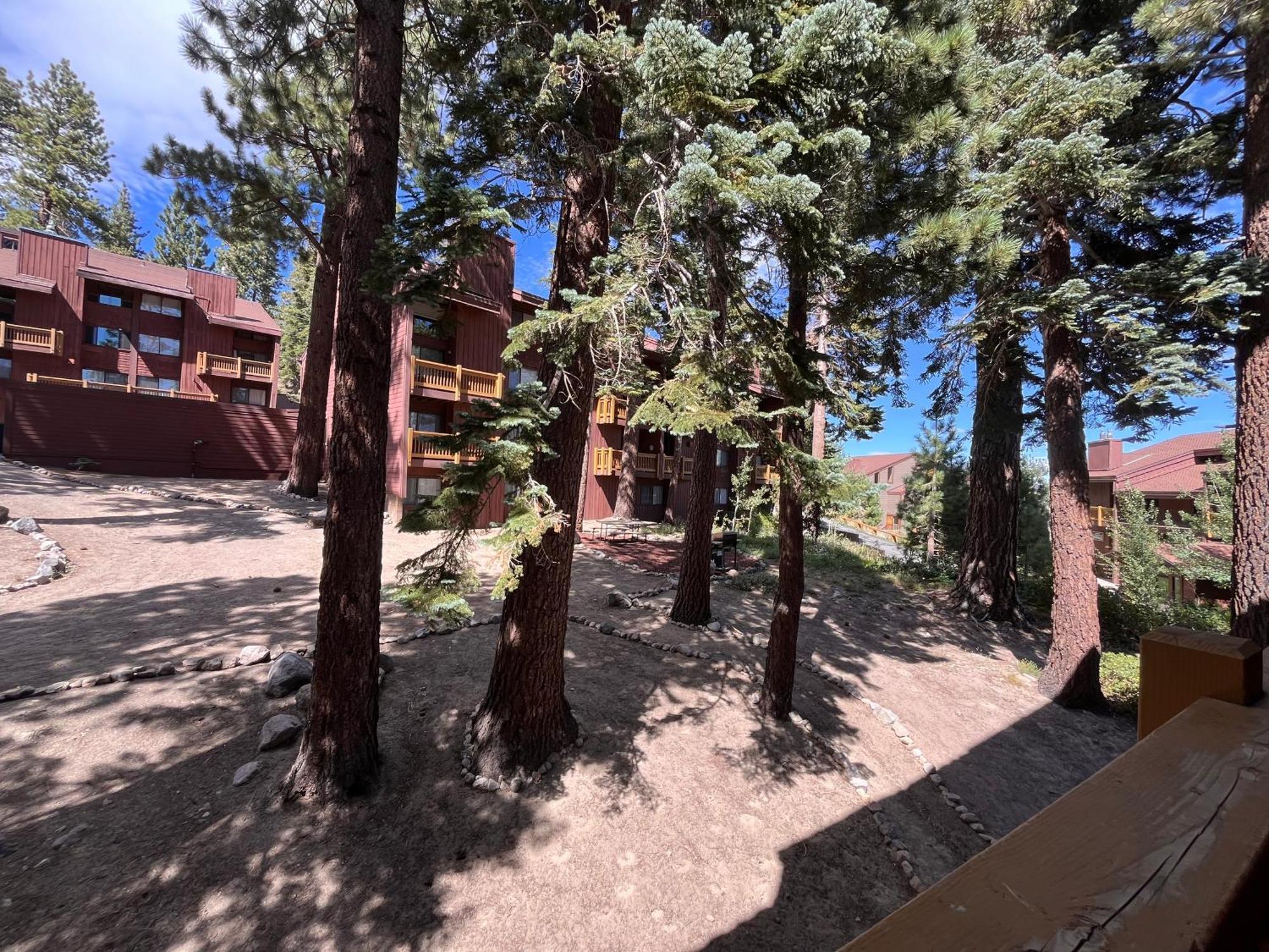 Apartment Tastefully Remodeled At Mammoth & Racquet Club, Hot Tub, Garage, 10 Min Walk To Lifts Mammoth Lakes
